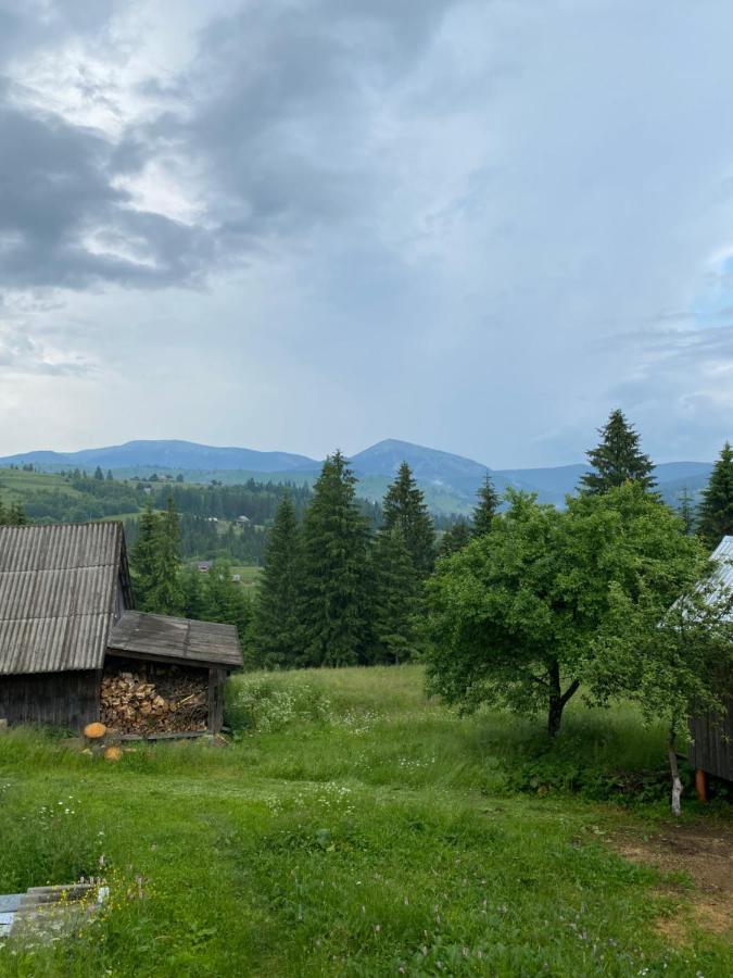 Hotel Sadiba Rozchil Yablunytsya Esterno foto